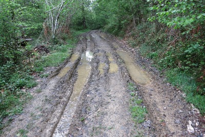 まだまだ、泥んこ道
