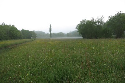 霧のかかった農地