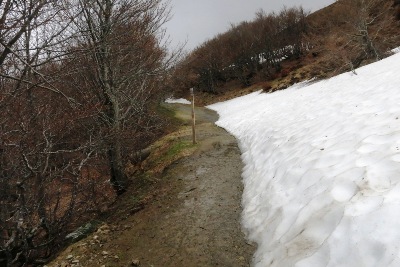 雪渓の横の道