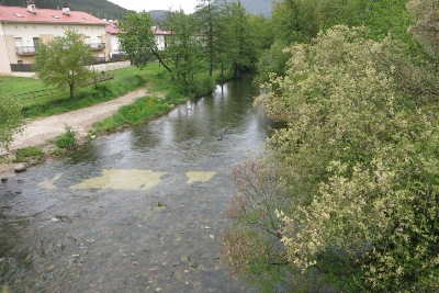 Rio Arga の流れ