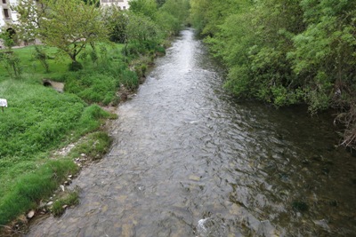 Rio Arga の流れ（上流側）