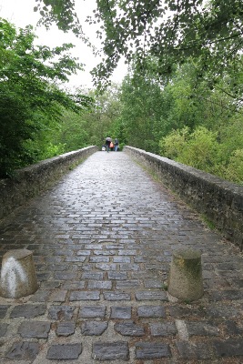 Magdalena の橋
