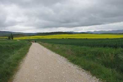 麦畑の中の道