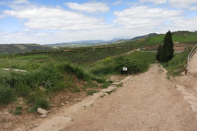 Cirauqui からの降り道