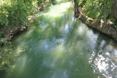 Rio Ega の流れ（下流側）