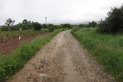 土の道