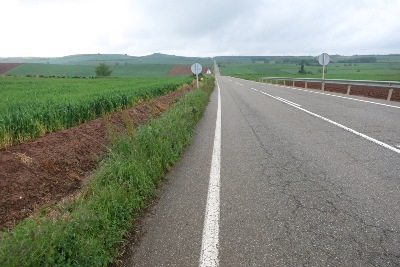 麦畑の間の道