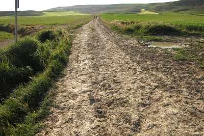 乾燥した泥んこ道