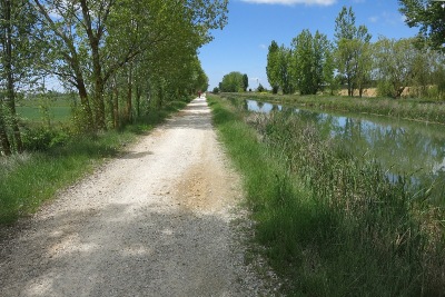 運河に沿った並木道