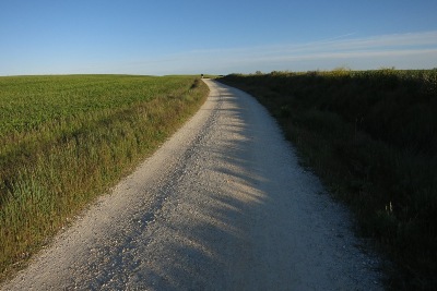 麦畑の間の道