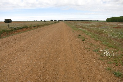 土の道