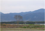 山腹に見える切幡寺（左の方に見えるのは徳島自動車道）