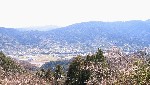 鶴林寺方面の眺望