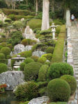 神峰寺の庭園