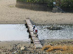 大岐浜への橋