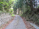 大滝寺への道