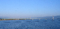 吉野川と四国三郎橋