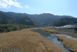 横瀬橋から見た勝浦川上流