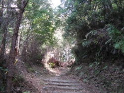 太龍寺への登り道