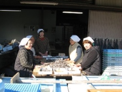 魚処理場の女性たち
