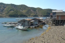 津島町柿之浦