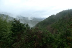 雲の湧き上がってくる谷