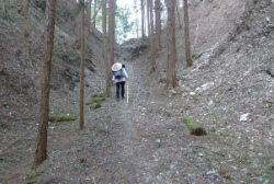 山道