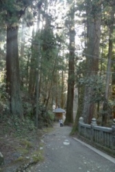 ４４番大宝寺への階段