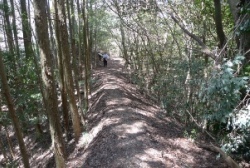 岩屋寺に向かう尾根の道