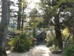 浄瑠璃寺境内
