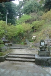 仙遊寺山門からの参道