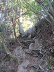 女体山への登り道